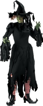Unbranded Fancy Dress - Adult Elite Quality Witch Costume Extra Large