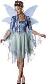 Includes dress, wings and flower crown.