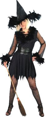 Unbranded Fancy Dress - Adult Feathered Witch Costume Small