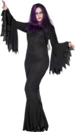 Costume consists of fuller figure vampiress dress with veil.