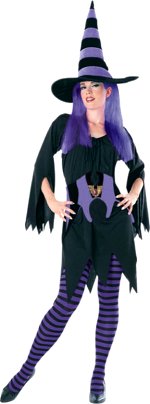 Unbranded Fancy Dress - Adult Halloween Drucilla The Witch Costume