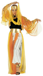 Unbranded Fancy Dress - Adult Harem Dancer Costume