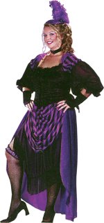 Costume includes purple styled dress with gathered skirt and sheer sleeves with attached bustle back