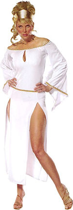 Unbranded Fancy Dress - Adult Lady Of Rome Costume Medium: 12-14
