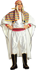 Unbranded Fancy Dress - Adult Lawrence of Arabia Costume
