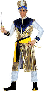 Unbranded Fancy Dress - Adult Maharajah Costume