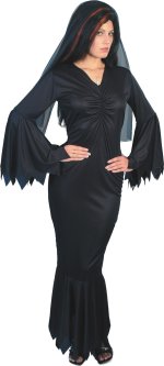 Unbranded Fancy Dress - Adult Midnight Vamp Costume