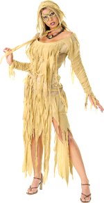Unbranded Fancy Dress - Adult Mummy Queen Costume