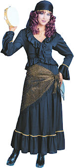 Unbranded Fancy Dress - Adult Mystic Gypsy Costume
