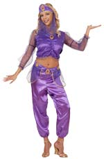 Unbranded Fancy Dress - Adult Odalisque Costume