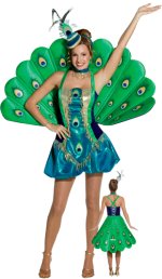 Unbranded Fancy Dress - Adult Peacock Costume