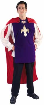 Unbranded Fancy Dress - Adult Prince Charming Costume