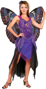Unbranded Fancy Dress - Adult Purple Butterfly Costume