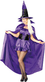 Unbranded Fancy Dress - Adult Purple Silky Look Cape