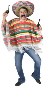 Unbranded Fancy Dress - Adult Rainbow Mexican Poncho