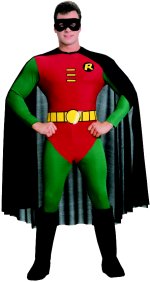 Unbranded Fancy Dress - Adult Robin Super Hero Costume