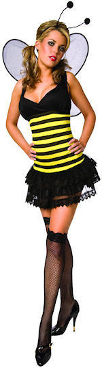 Unbranded Fancy Dress - Adult Sexy Bee Budget Costume