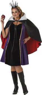 Unbranded Fancy Dress - Adult Sexy Evil Queen Costume (FC)