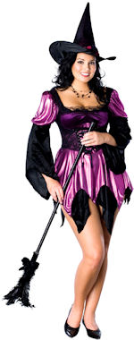 Unbranded Fancy Dress - Adult Sexy Witch Costume (FC)