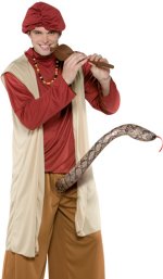 Unbranded Fancy Dress - Adult Snake Charmer Costume