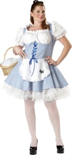 Unbranded Fancy Dress - Adult Storybook Sweetheart Costume (FC)