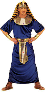 Unbranded Fancy Dress - Adult Tutankhamen Costume