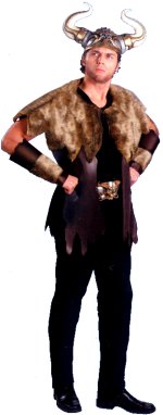Unbranded Fancy Dress - Adult Viking Warrior Costume