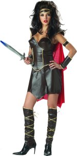 Includes dress, cape, boot covers, cuffs, armbands and headband.