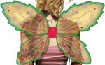 Unbranded Fancy Dress - Autumn Fairy Wings