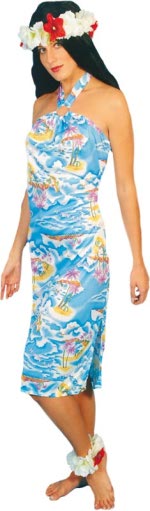 Unbranded Fancy Dress - Budget Hawaiian Lady Costume