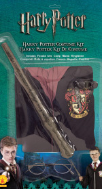Unbranded Fancy Dress - Child Harry Potter Costume Kit
