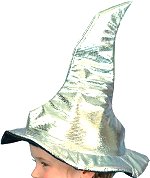 Unbranded Fancy Dress - Child Witch Hat METALLIC SILVER