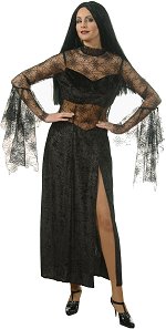 Unbranded Fancy Dress - Deluxe Vampire Lady Costume