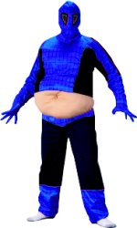 Unbranded Fancy Dress - Fat Spider Hero Adult Costume
