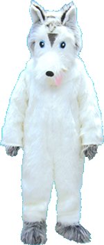 Unbranded Fancy Dress - Husky Mascot Costume