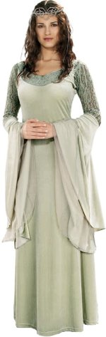 Unbranded Fancy Dress - Lord of the Rings Adult Queen Arwen Costume