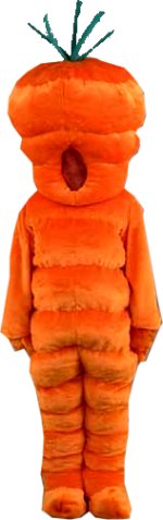Unbranded Fancy Dress - Luxury Carrot Mascot Costume