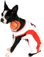 Unbranded Fancy Dress - Pet Basketball Player Costume Extra Large