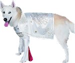 Unbranded Fancy Dress - Pet Elvis Costume Small