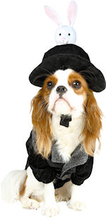 The Pet Hat Trick Costume includes a black and silver magicians jacket with glitter and silver star 