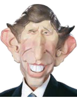 Unbranded Fancy Dress - Prince Charles Caricature Mask