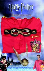 Unbranded Fancy Dress - Quidditch Costume Kit