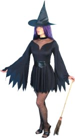Fancy Dress - Sexy Witch Costume Medium