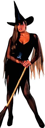 Unbranded Fancy Dress - Sexy Witch Halloween Costume