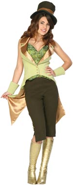 Unbranded Fancy Dress - Teen Wizardress of Oz Costume