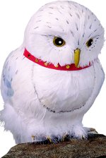 Fancy Dress Costumes - 12 Feathered Hedwig Owl