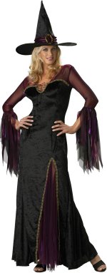 Unbranded Fancy Dress Costumes - Adult Elite Quality Enchanting Witch Extra Large