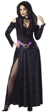 Unbranded Fancy Dress Costumes - Adult Elite Quality Sorceress Extra Large