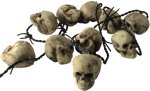 Decoration with rusty barb wire and 10 skulls.