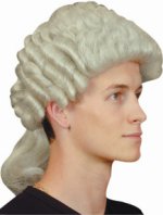 Fancy Dress Costumes - Barrister (Grey)